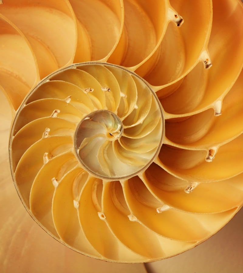 Reflections on completing a Masters